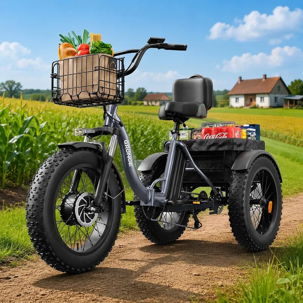 QRONGE Lava Electric Tricycle