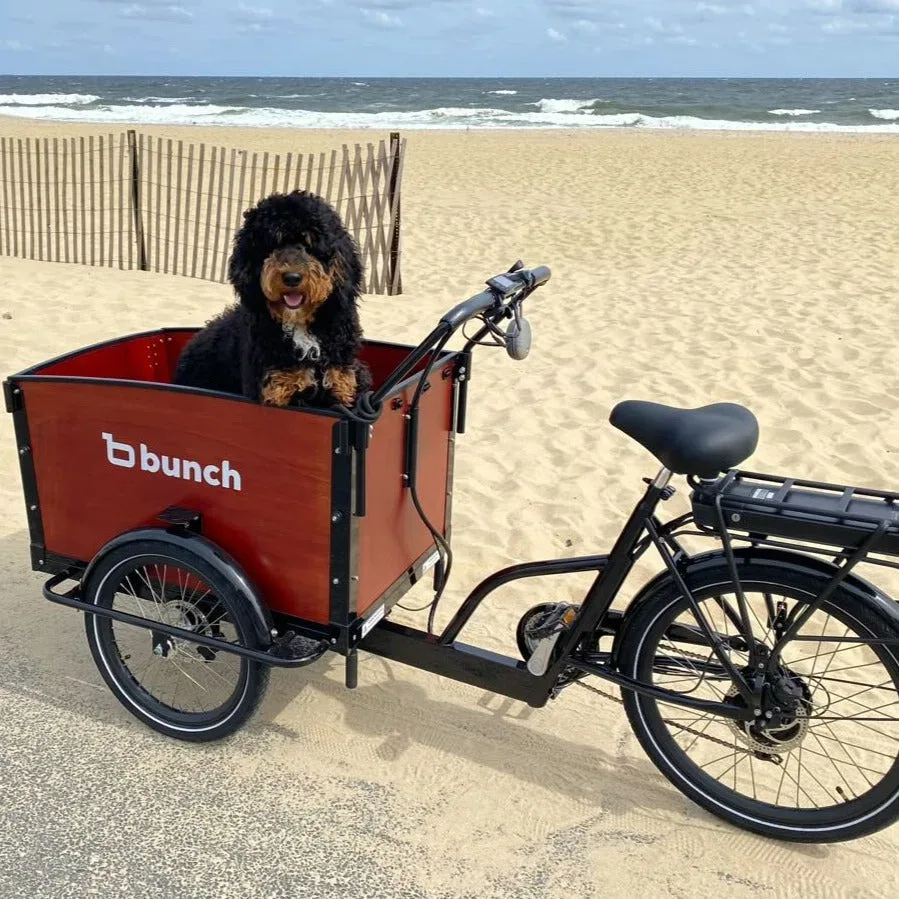 Bunch Bikes The K9 4+