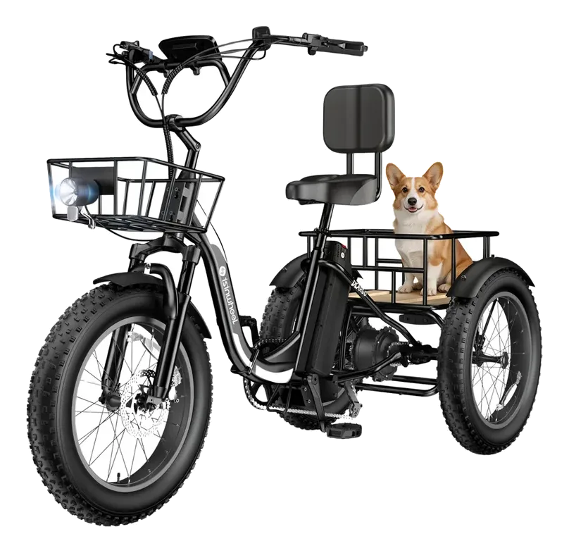 isinwheel Ucargo Electric Tricycle