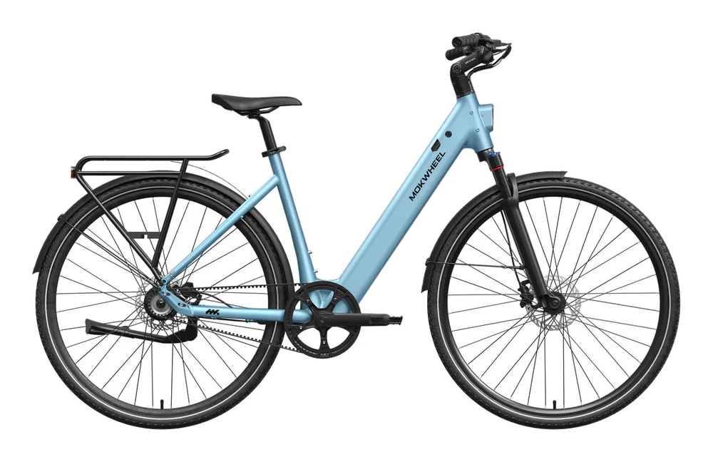 Mokwheel Flint Pro Step-Through