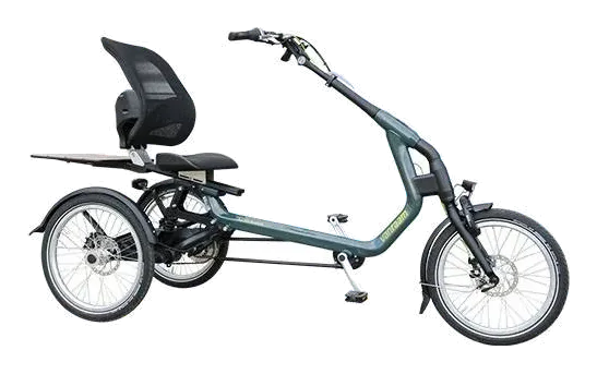 Van Raam Easy Rider