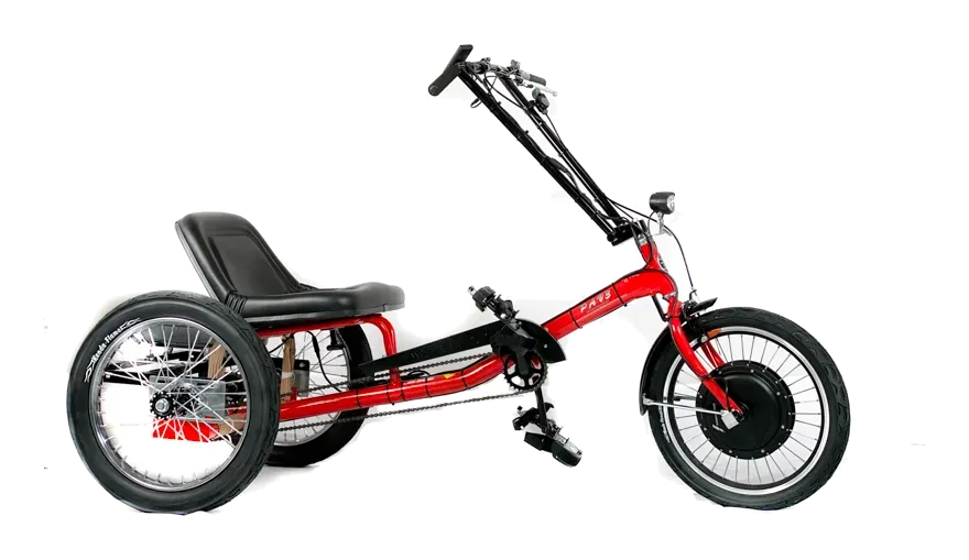 Worksman E-PALR-3CB Personal Activity Low Rider