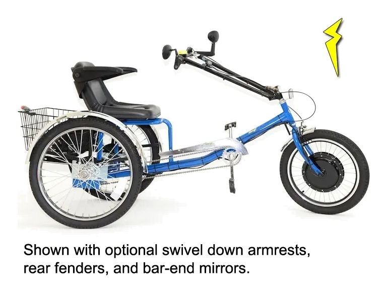 Worksman PAV3-3CB Lightning Electric