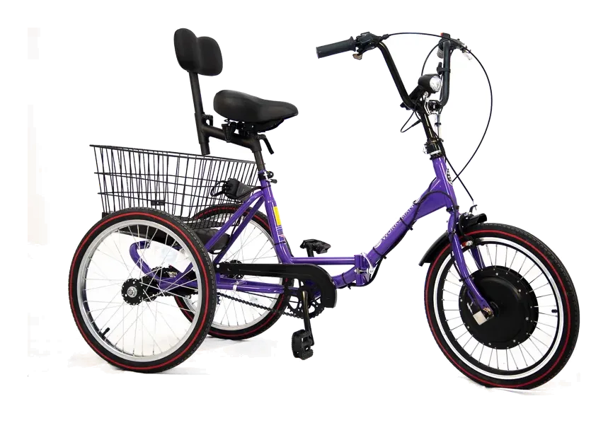 Worksman Port-O-Trike PT3CB Lightning Electric