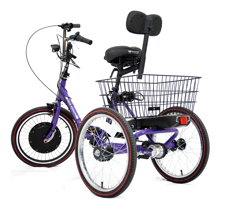 Worksman Port-O-Trike PTCB Lightning Electric